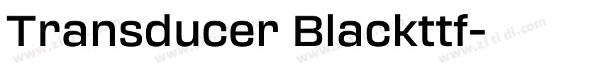 Transducer Blackttf字体转换 Transducer Blackttf字体转换